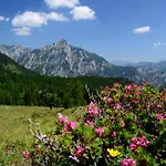 Alpenapartments Unterschlag Appart hôtel