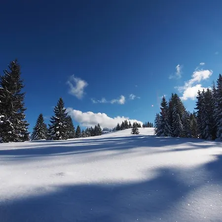 Апарт-отель Alpenapartments Unterschlag