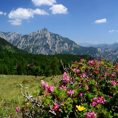 Alpenapartments Unterschlag Апарт-отель