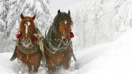 Aparthotel Alpenapartments Unterschlag Annaberg im Lammertal