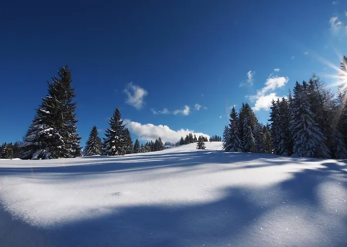 מלון דירות Alpenapartments Unterschlag
