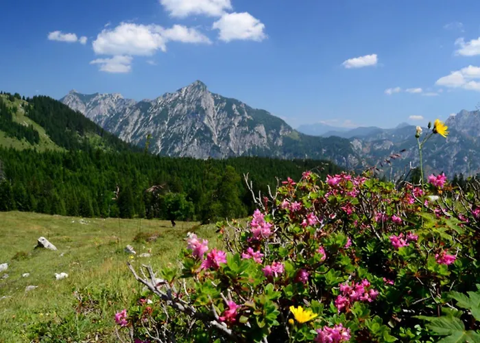 Alpenapartments Unterschlag מלון דירות